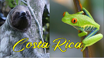 Acteurs-Locaux Les FUSOTISTES  124  au COSTA RICA   -   La SOLUTION pour voir les animaux emblématiques